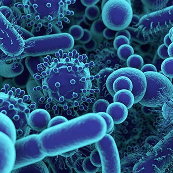 Co je mikrobiom?