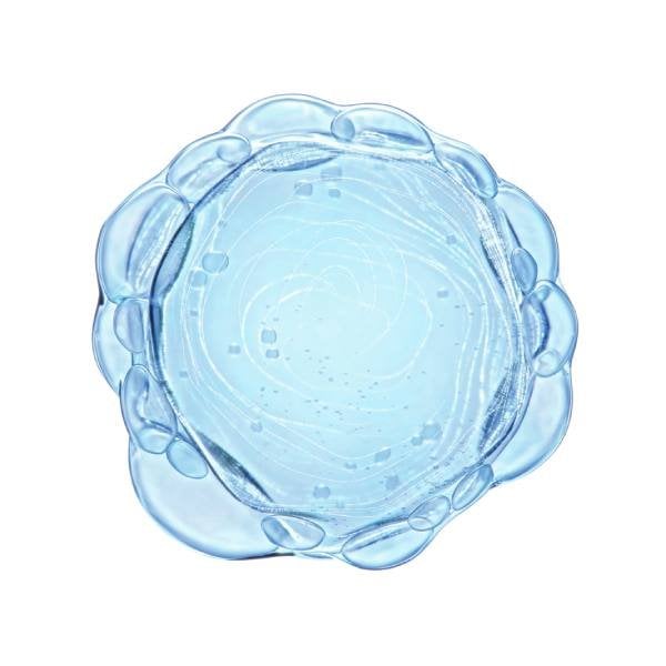Pure niacinamide ingredient