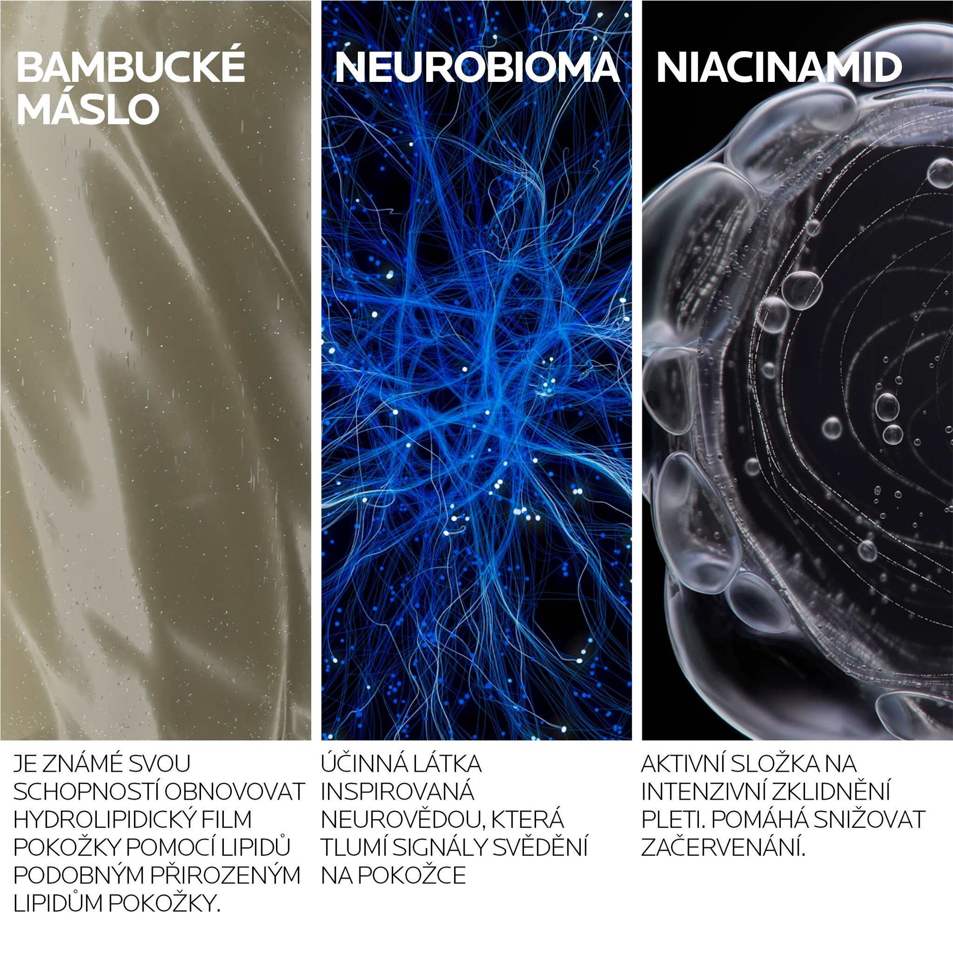 LIPIKAR AP+MAX BALZÁM packshot 04